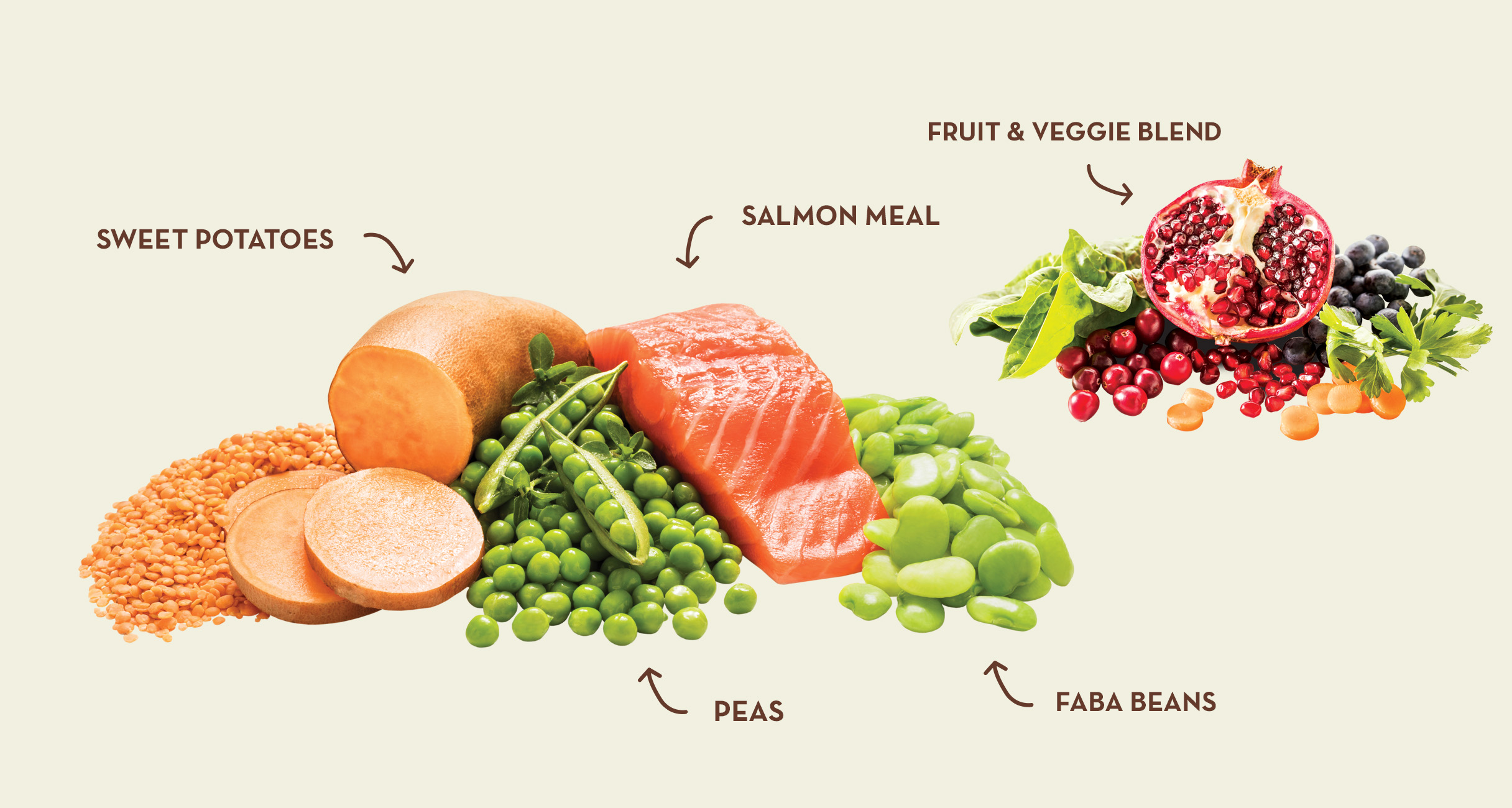 Feeding Your Dog Salmon and Sweet Potato: Quantity Over Ingredients